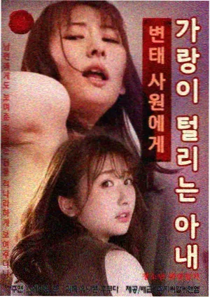 风吹半夏 收视率 新闻